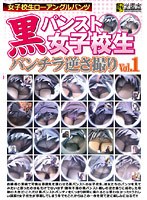 パッケージ画像