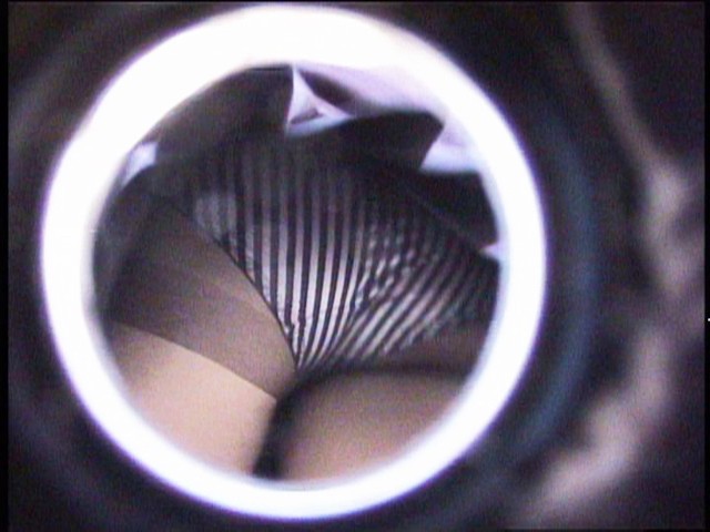 サンプル画像 19