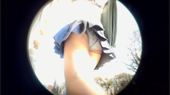 サンプル画像 4