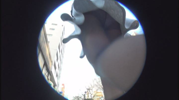 サンプル画像 17