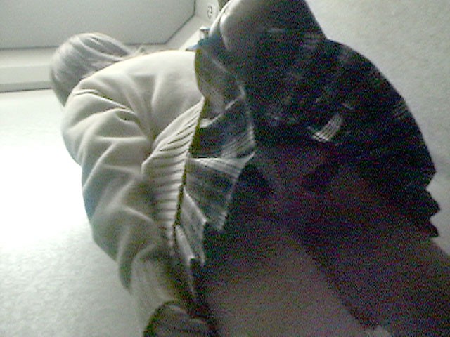 サンプル画像 2