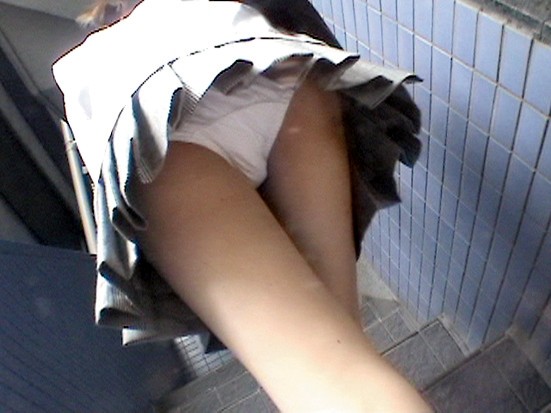 サンプル画像 16