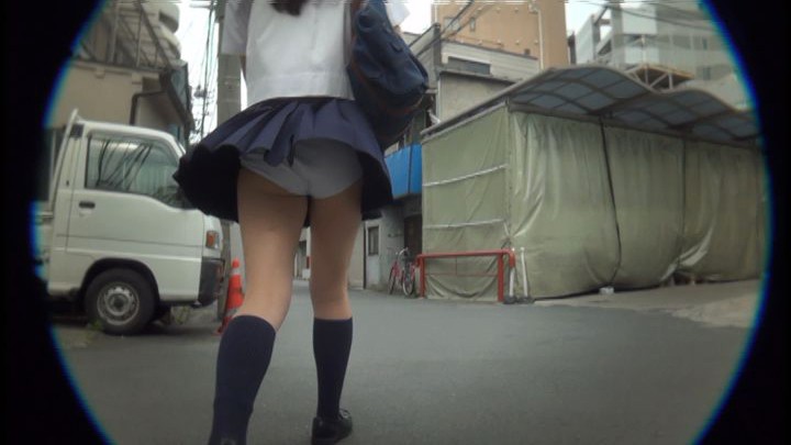 サンプル画像 14