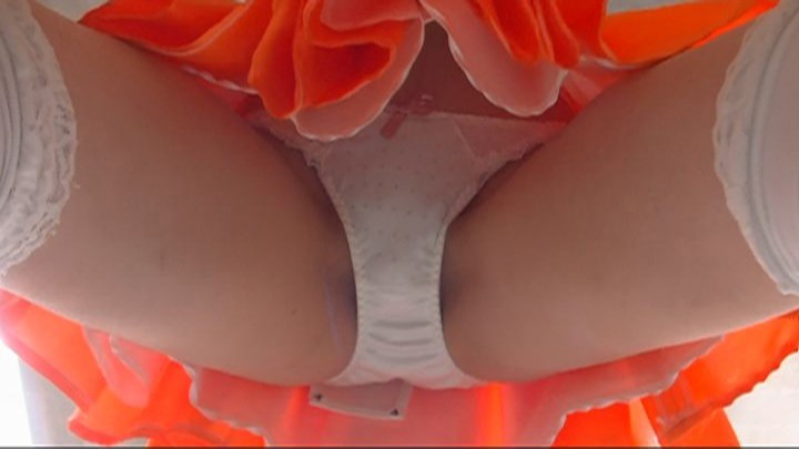 サンプル画像 20