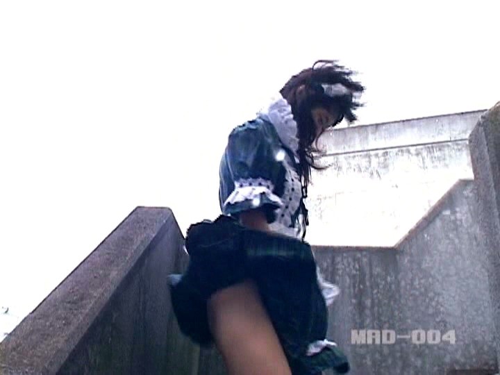 サンプル画像 17