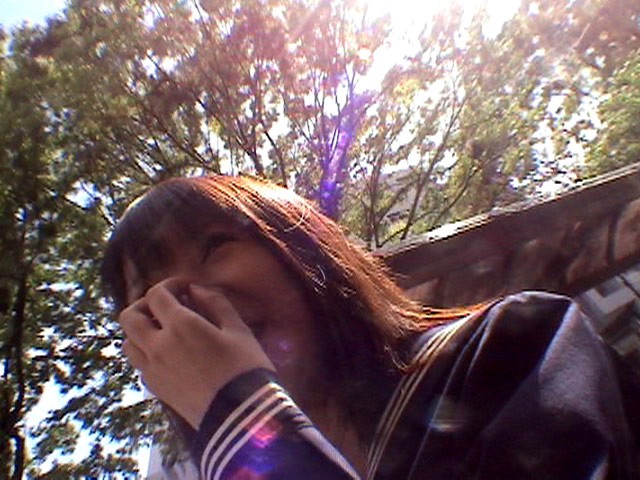 サンプル画像 15