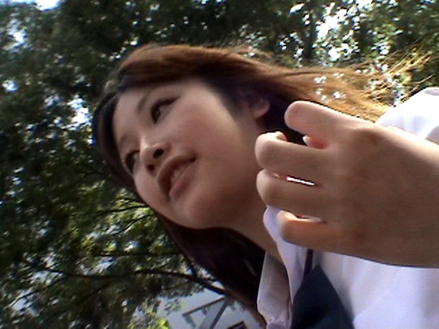 サンプル画像 3