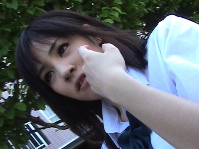 サンプル画像 3