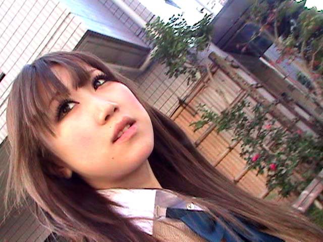 サンプル画像 15