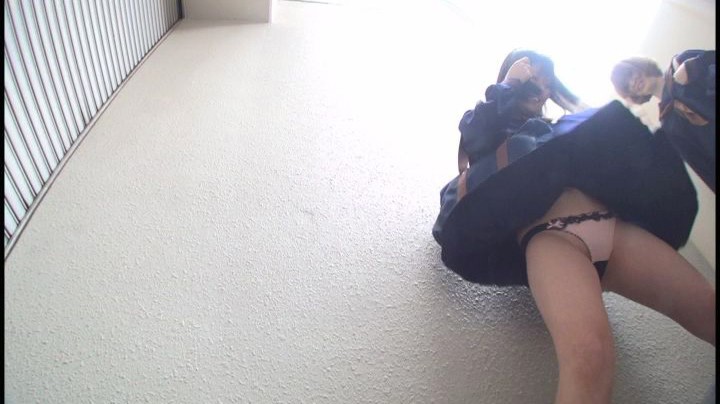 サンプル画像 8