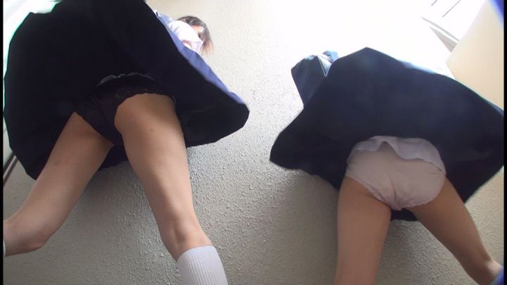 サンプル画像 12