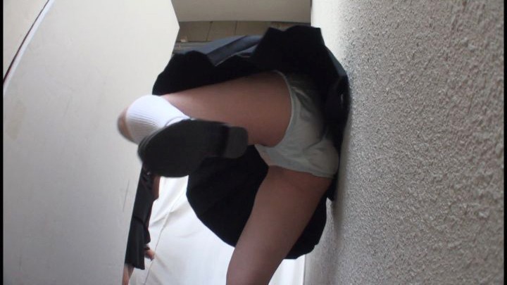 サンプル画像 17