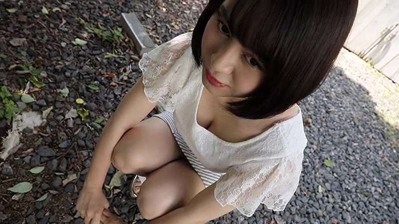 サンプル画像 3