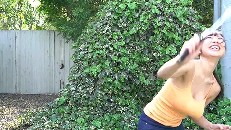 サンプル画像 6