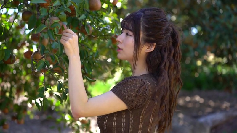 サンプル画像 6