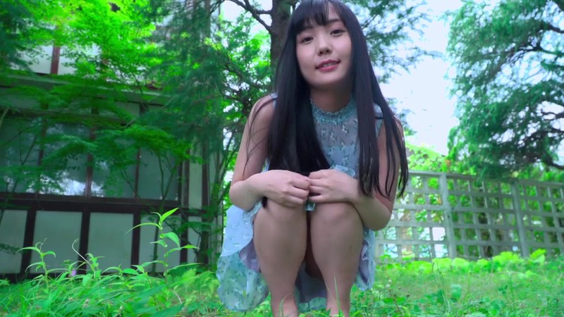 サンプル画像 2