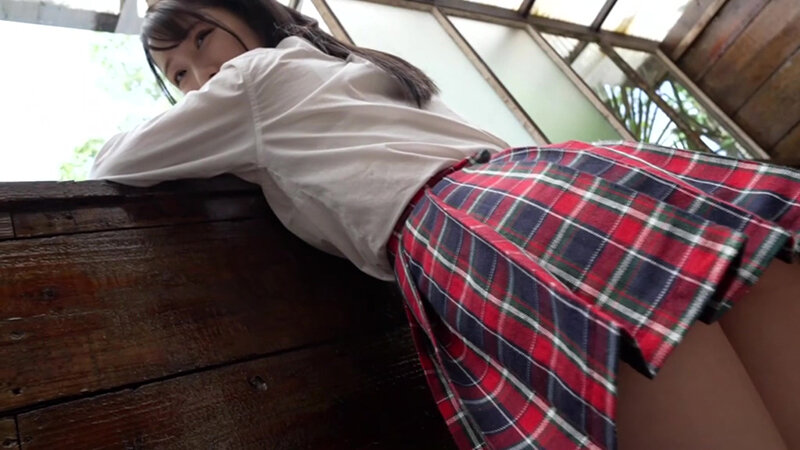 サンプル画像 5