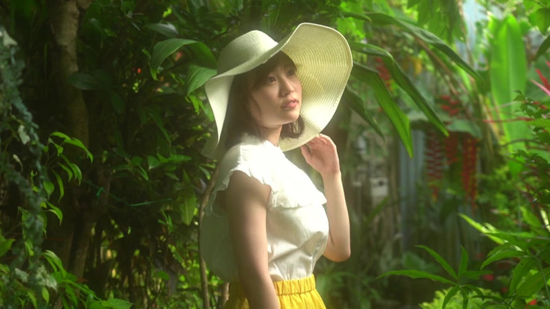 サンプル画像 6