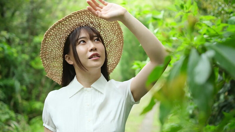 サンプル画像 3