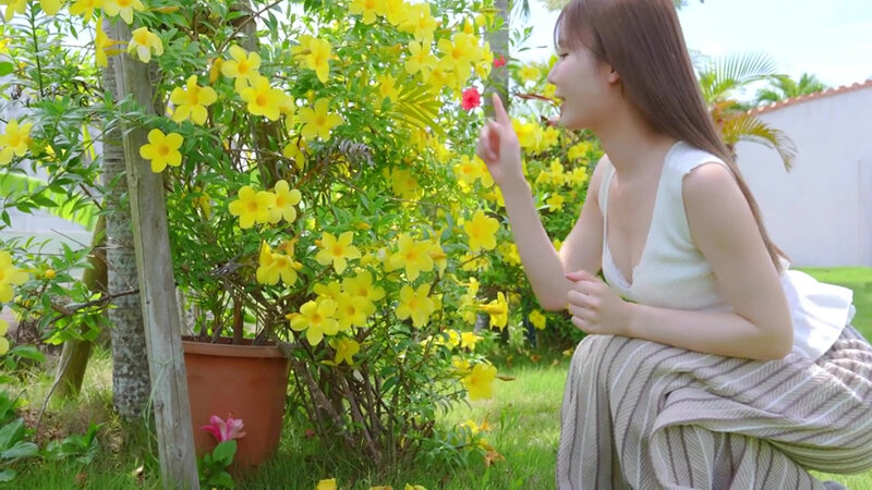 サンプル画像 2