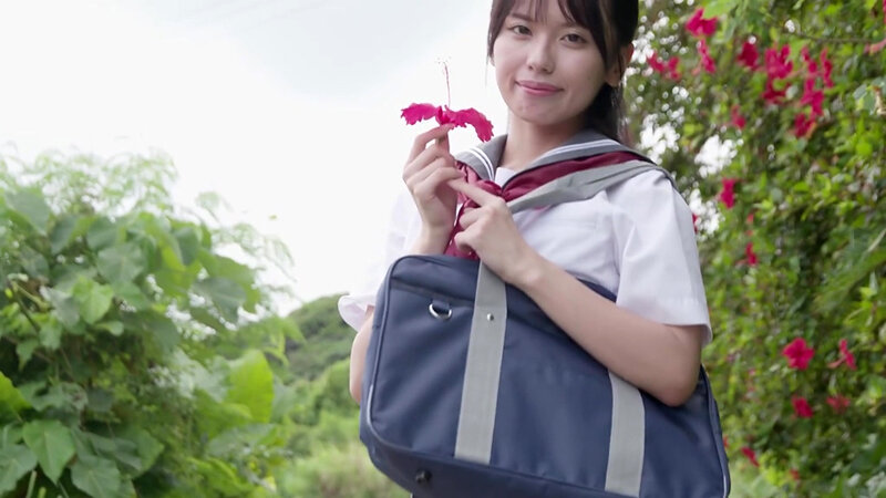 サンプル画像 2