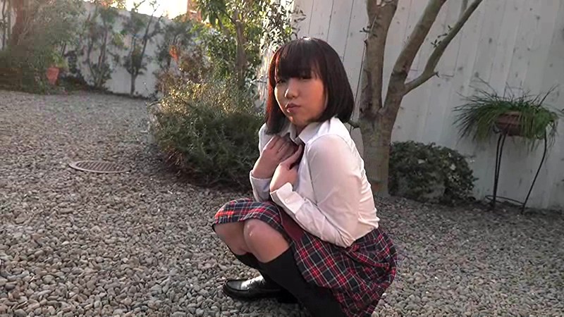 サンプル画像 13