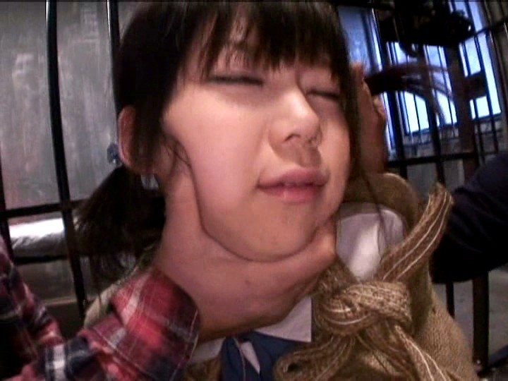 サンプル画像 16