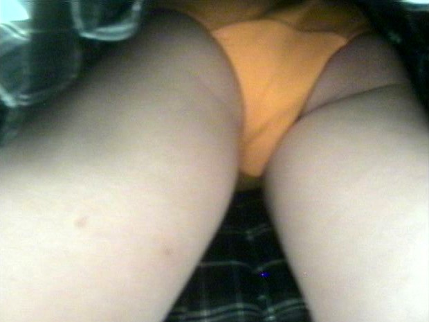 サンプル画像 8