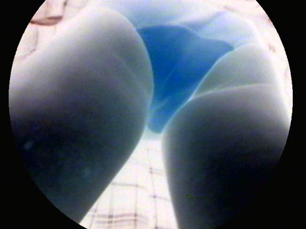 サンプル画像 9