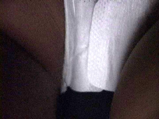 サンプル画像 14