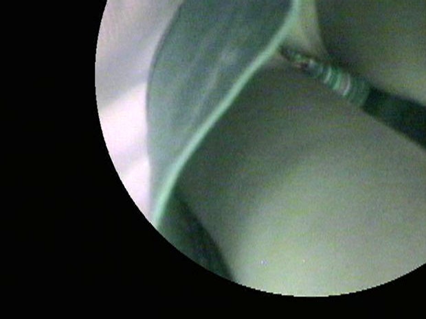 サンプル画像 18