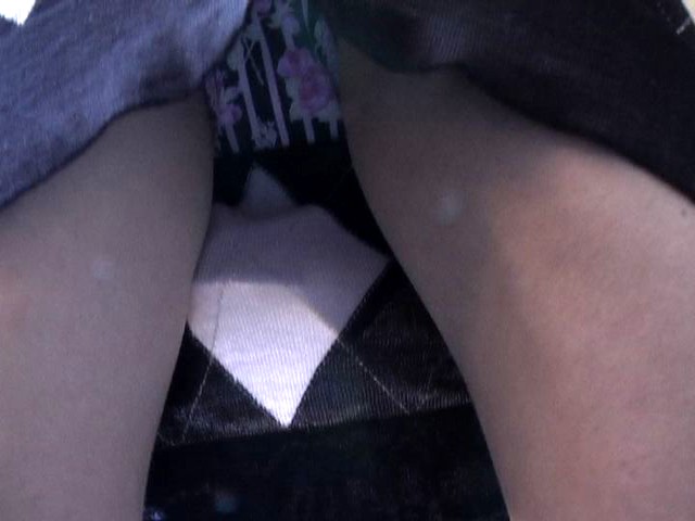 サンプル画像 4