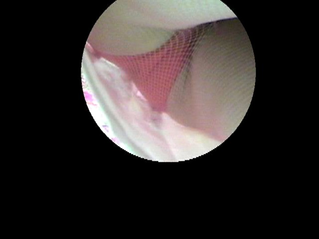 サンプル画像 11