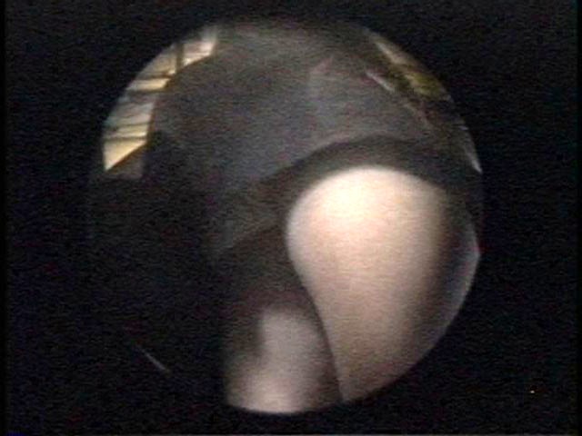 サンプル画像 21