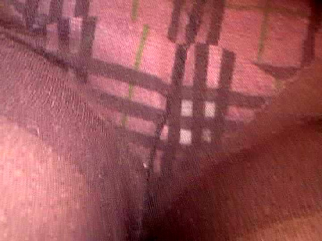 サンプル画像 16