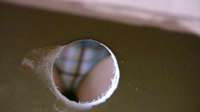 サンプル画像 3