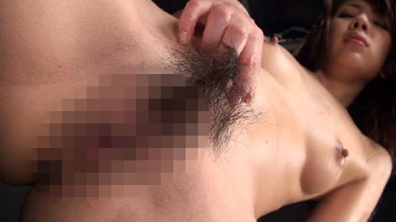 サンプル画像 5