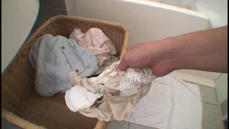 サンプル画像 8