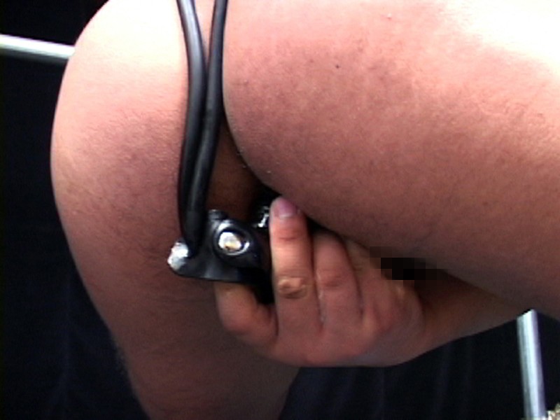 サンプル画像 5