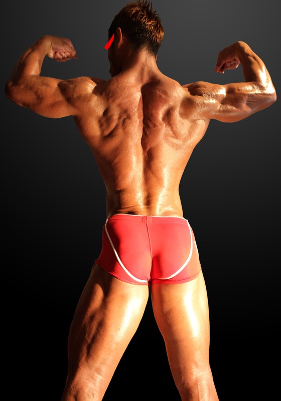 サンプル画像 5