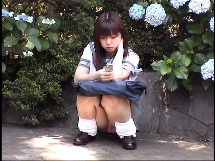 サンプル画像 5