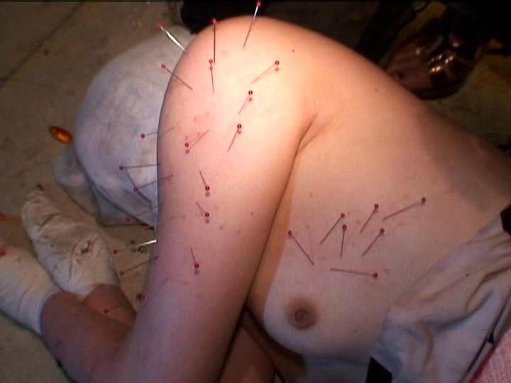 サンプル画像 15