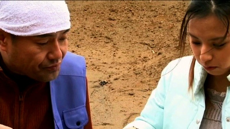 サンプル画像 10