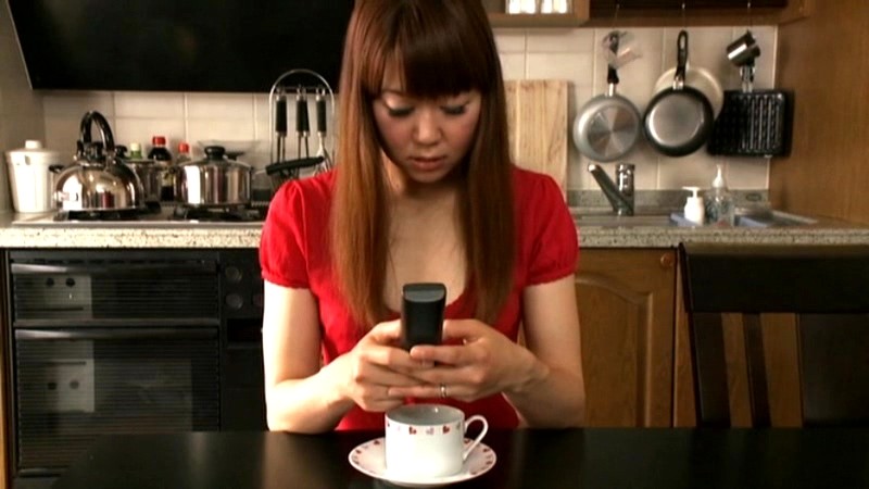 サンプル画像 15