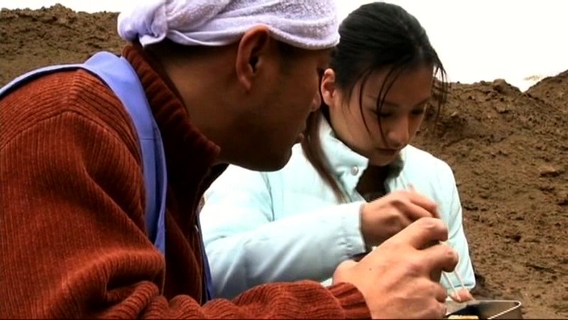 サンプル画像 10