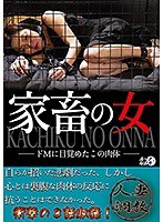 パッケージ画像