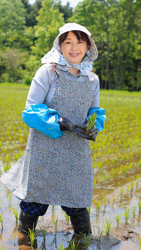 サンプル画像 6