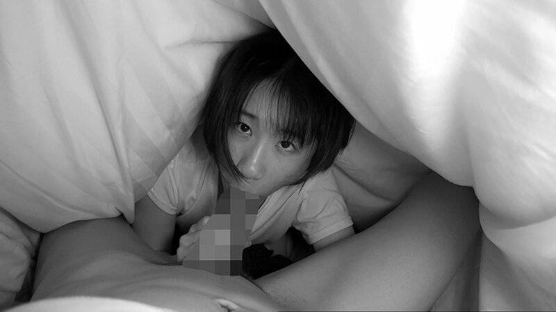 サンプル画像 14