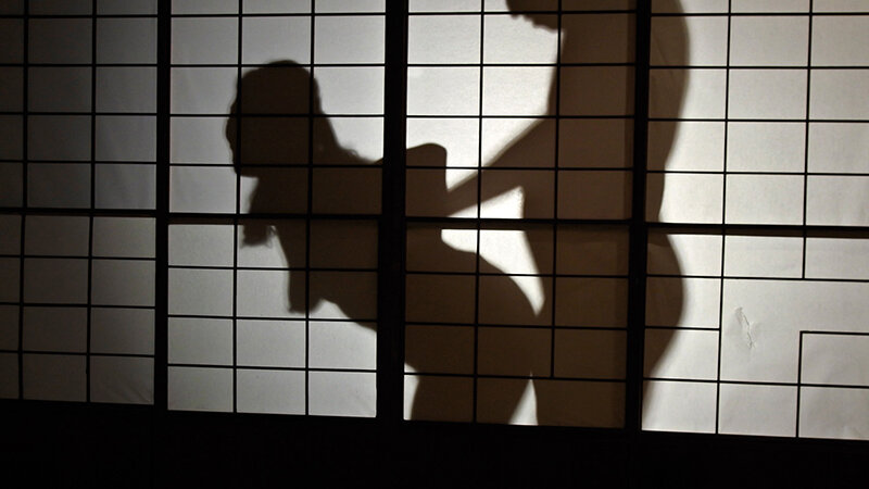 サンプル画像 8