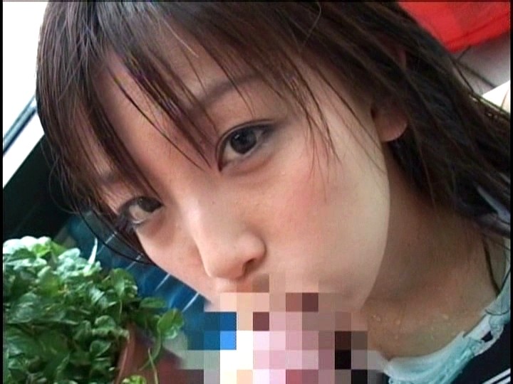 サンプル画像 3